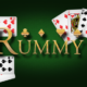 Rummy Wealth 555