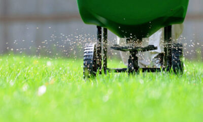 Fertilization Services