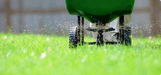 Fertilization Services