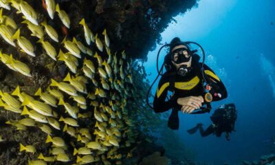 Diving