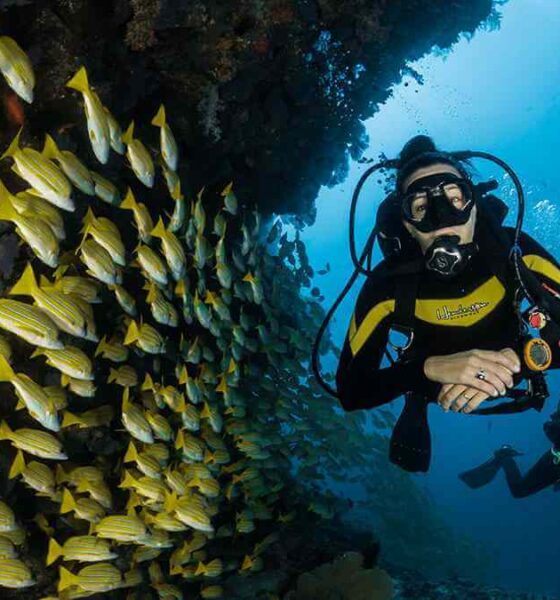 Diving