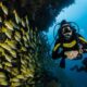 Diving