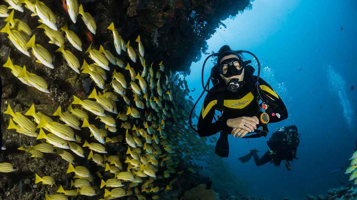 Diving