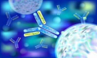 Oncology Clinical Development