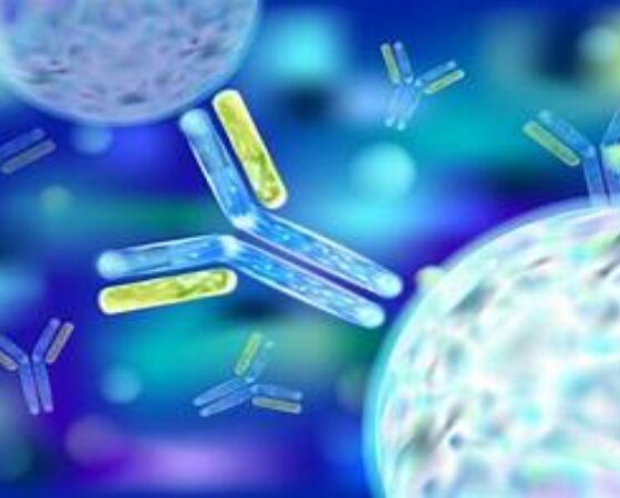 Oncology Clinical Development