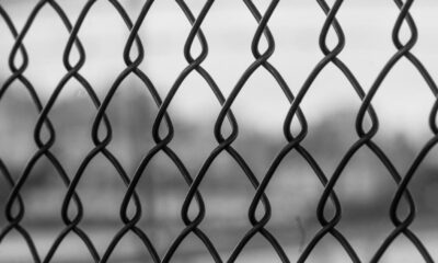 Fence Repair Services