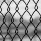 Fence Repair Services