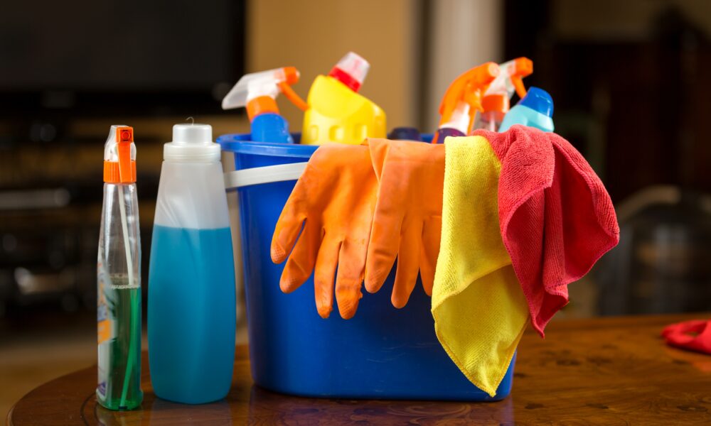 Home Cleaning and Maintenance