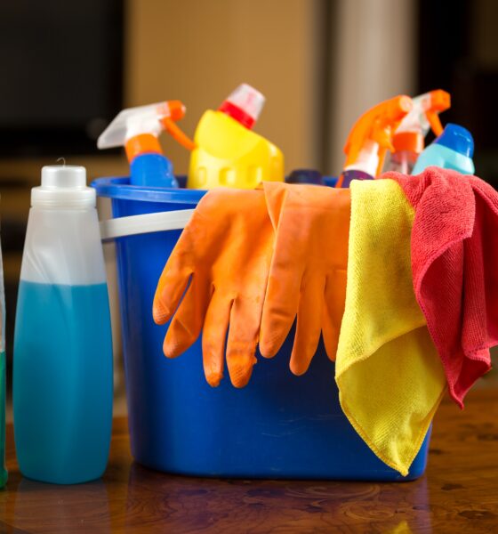 Home Cleaning and Maintenance