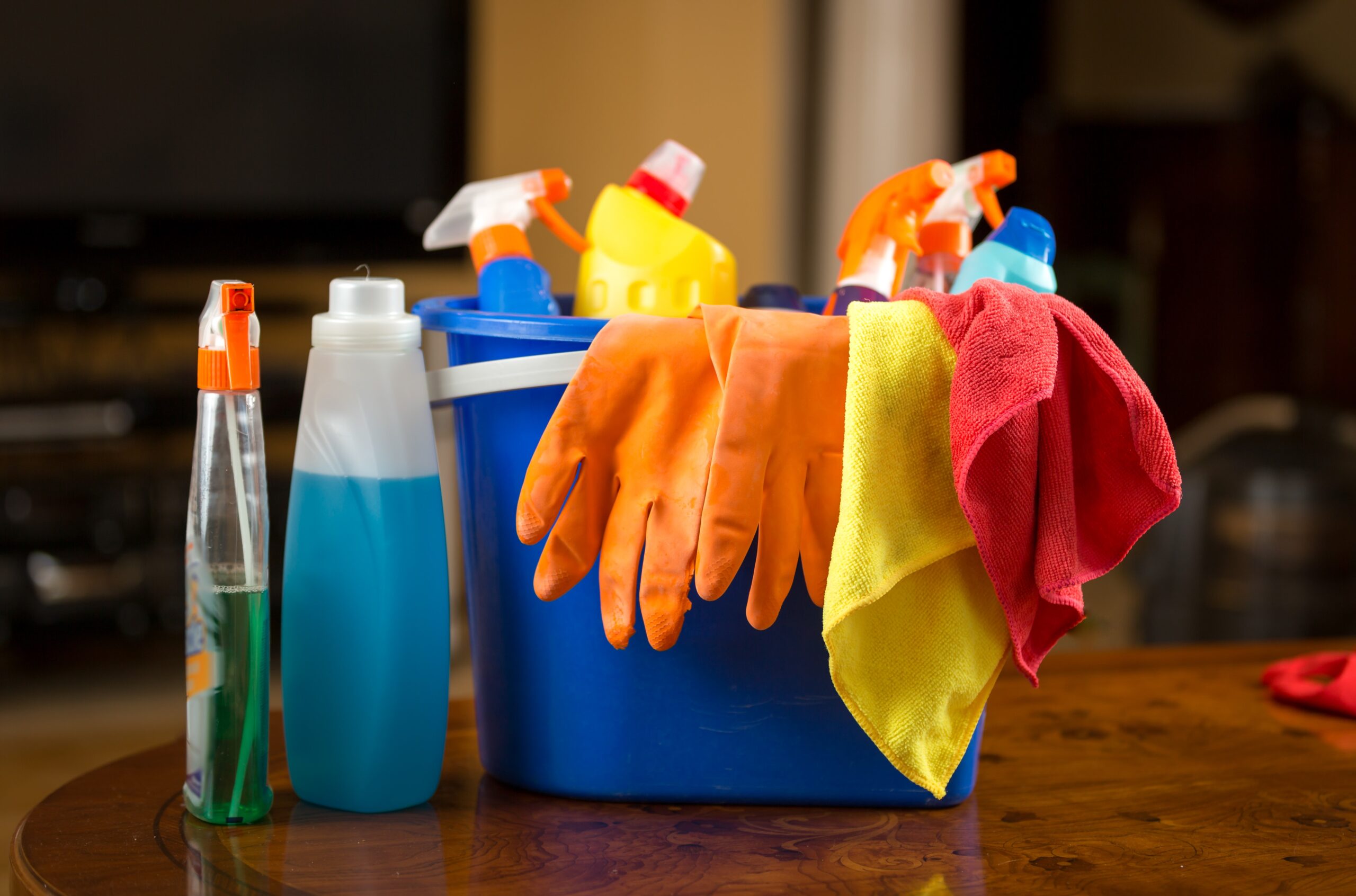 Home Cleaning and Maintenance