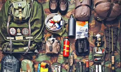 Veteran Survival Guide
