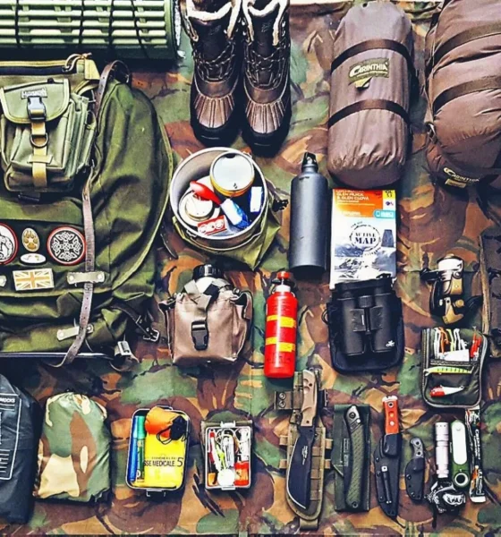 Veteran Survival Guide
