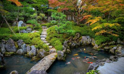 Japanese Zen Gardens