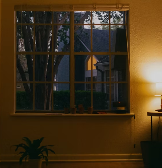 Privacy Window Film