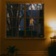 Privacy Window Film