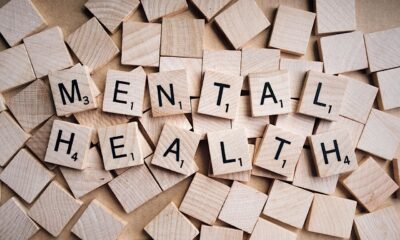 Addressing Mental Health Needs Through Legal Advocacy for Abuse Survivors