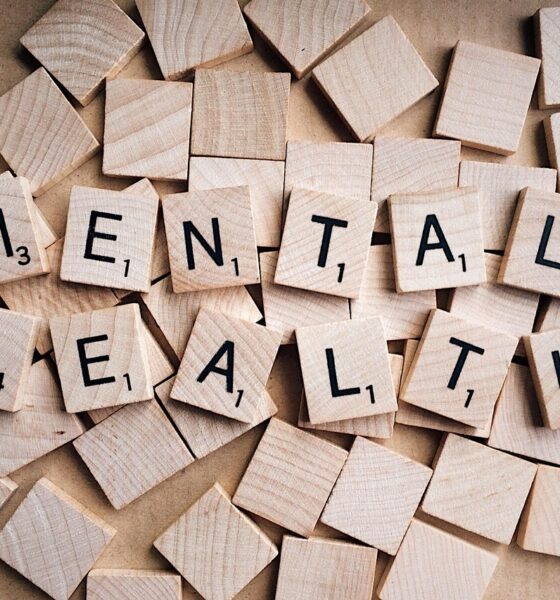 Addressing Mental Health Needs Through Legal Advocacy for Abuse Survivors