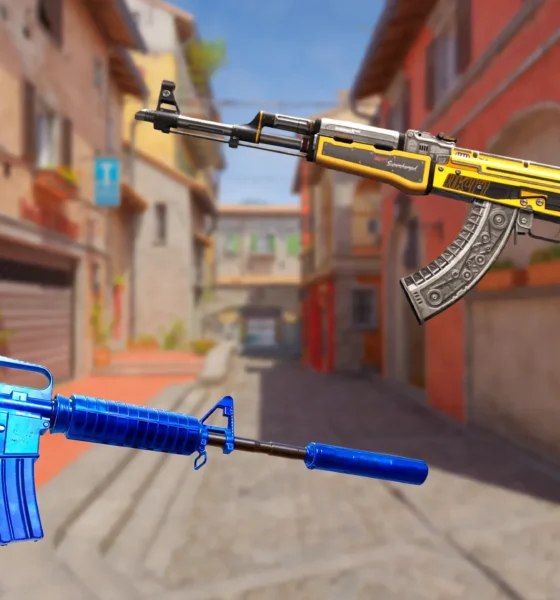CS:GO Skin Portfolio