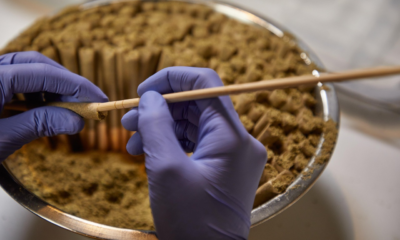 Automated Infusion Technology