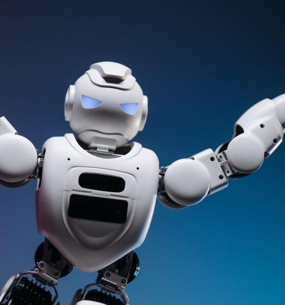 Machine Learning Application Development