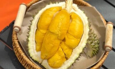 Durian Night