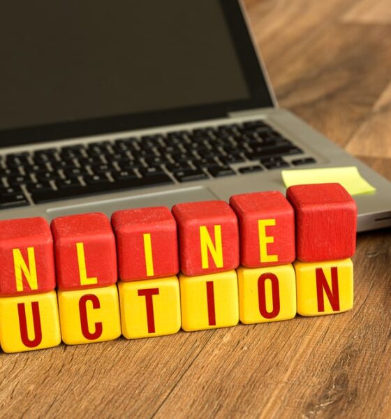 Online Auctions