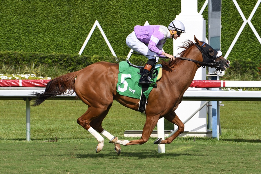 Horse Race